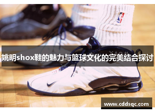 姚明shox鞋的魅力与篮球文化的完美结合探讨