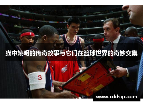 猫中姚明的传奇故事与它们在篮球世界的奇妙交集