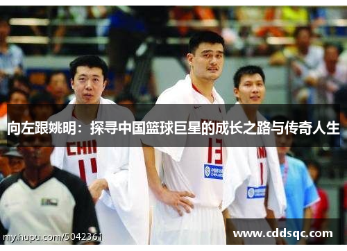 向左跟姚明：探寻中国篮球巨星的成长之路与传奇人生