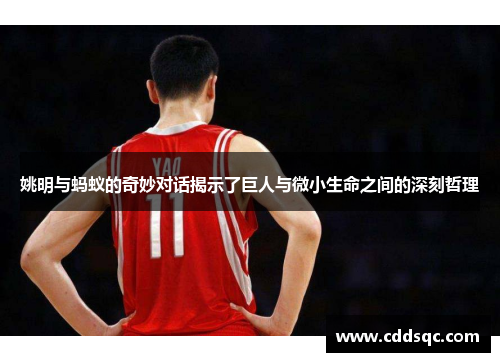 姚明与蚂蚁的奇妙对话揭示了巨人与微小生命之间的深刻哲理