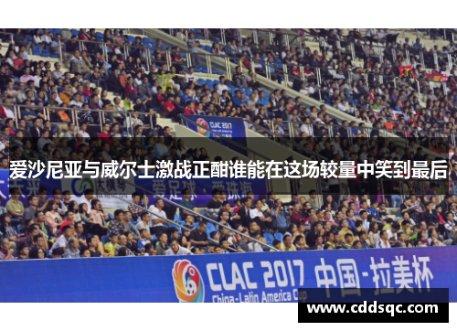 爱沙尼亚与威尔士激战正酣谁能在这场较量中笑到最后
