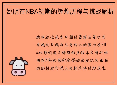 姚明在NBA初期的辉煌历程与挑战解析